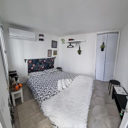 Garden Room Pisa Eksteriør bilde